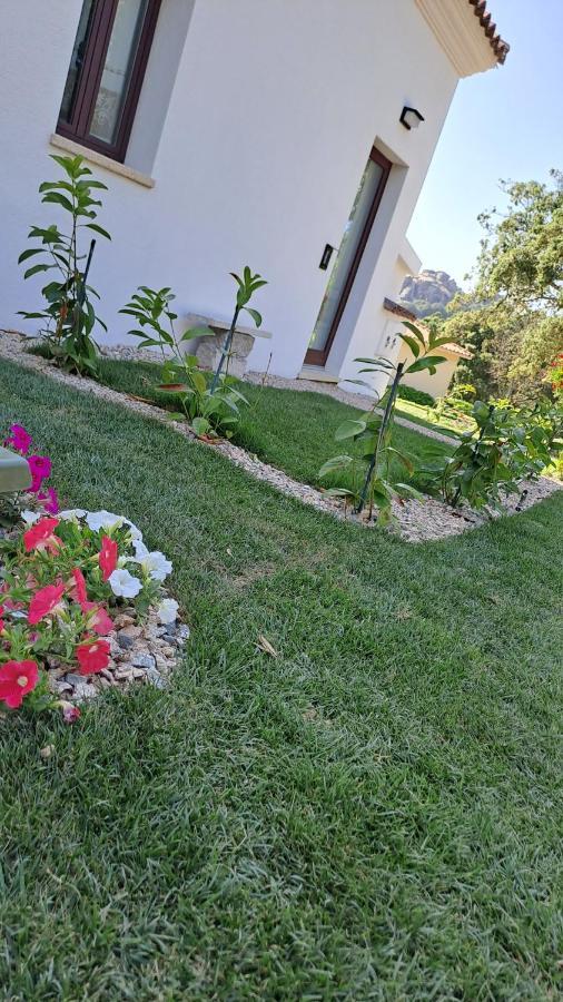 Bed and Breakfast Casa La Chintina Sant'Antonio di Gallura Exterior foto