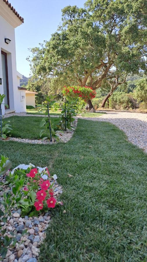 Bed and Breakfast Casa La Chintina Sant'Antonio di Gallura Exterior foto